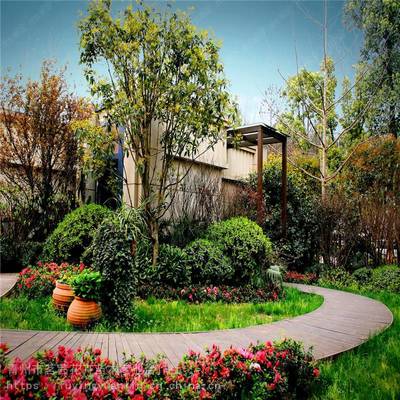 庭院綠化設計與施工指南 結合風水理念的山東園林實踐